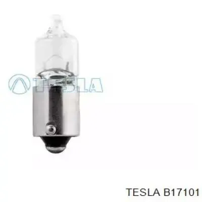 Lâmpada B17101 Tesla
