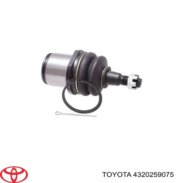 Pino moente (extremidade do eixo) dianteiro esquerdo 4320259075 Toyota