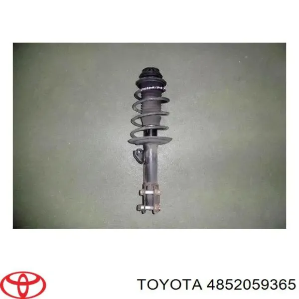 Amortecedor dianteiro esquerdo 4852059365 Toyota
