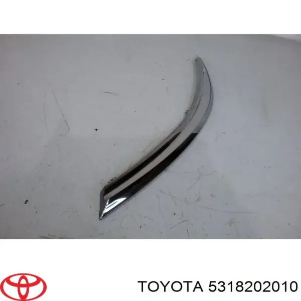 Moldura da luz esquerda 5318202010 Toyota