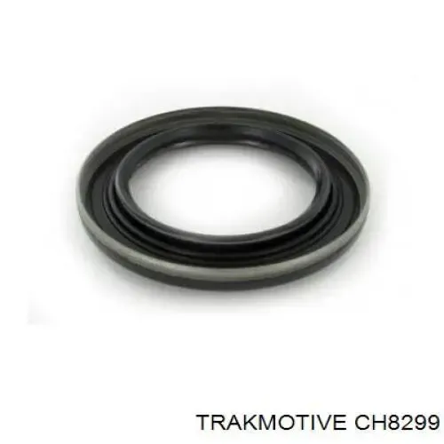  CH8299 Trakmotive/Surtrack