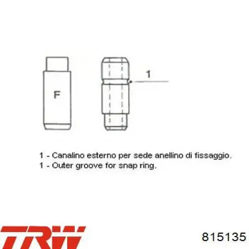 Guia de válvula de admissão 815135 TRW