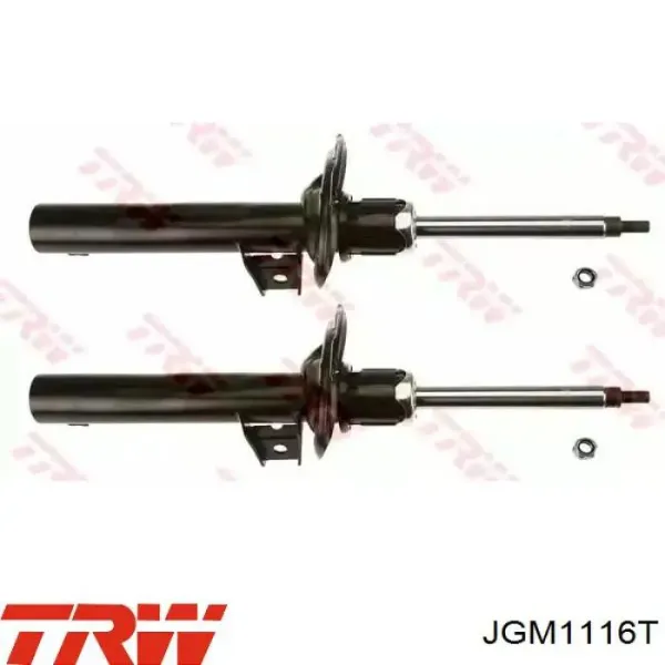 Amortecedor dianteiro RS315910 Raiso