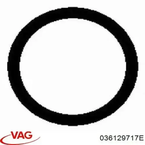 Vedante de tubo coletor de admissão VAG 036129717E preço, a partir de