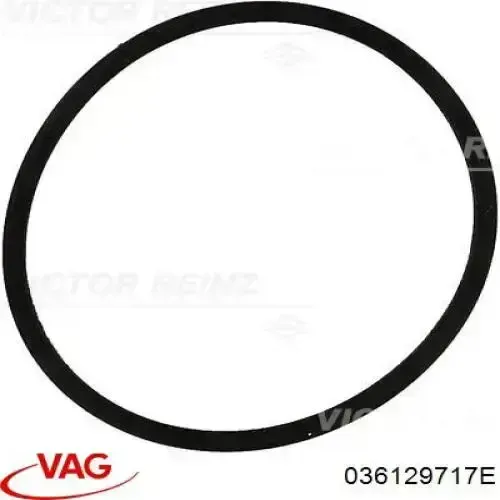 Compre 036129717E VAG Vedante de tubo coletor de admissão