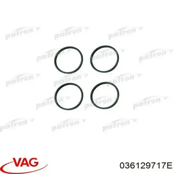 Vedante de tubo coletor de admissão VAG 036129717E