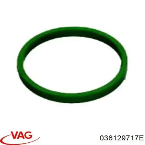 Compre 036129717E VAG Vedante de tubo coletor de admissão