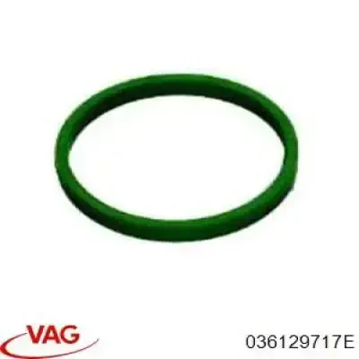 Vedante de tubo coletor de admissão 036129717E VAG