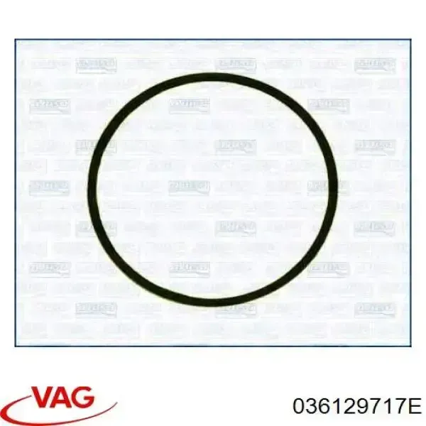 036129717E VAG Vedante de tubo coletor de admissão