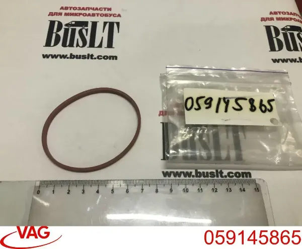 Vedante da válvula de borboleta 059145865 VAG