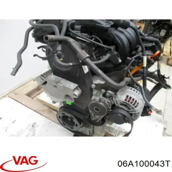 Motor montado 06A100043T VAG