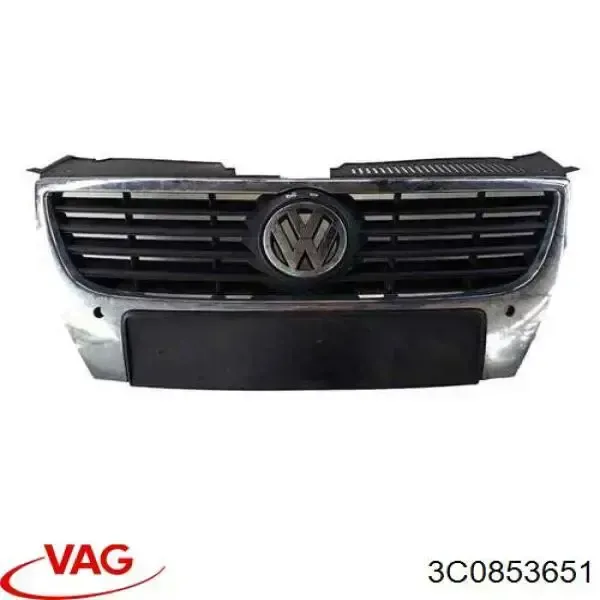 Grelha do radiador 3C0853651 VAG