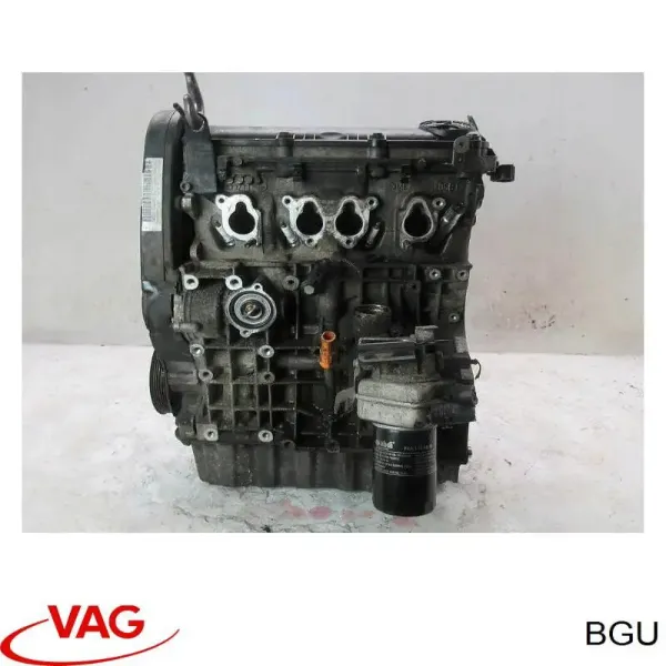 Motor montado BGU VAG