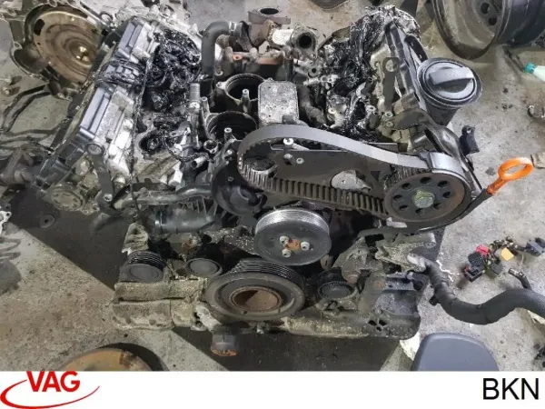 Motor montado BKN VAG