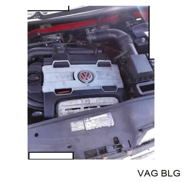 Motor montado BLG VAG