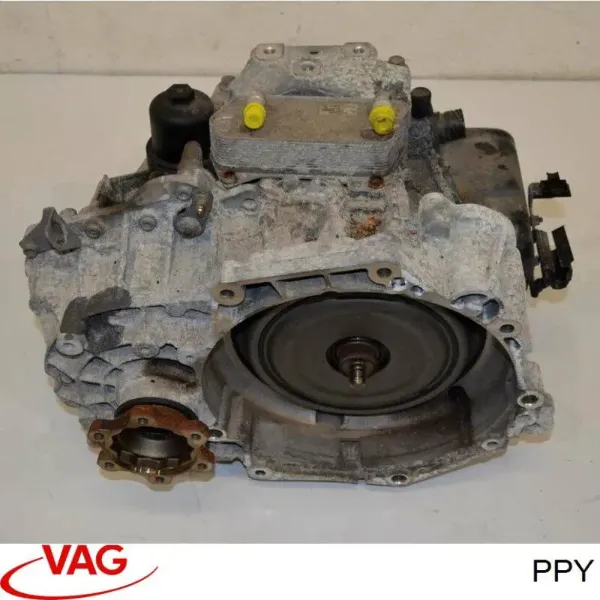  PPY VAG