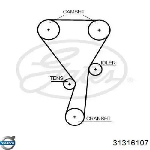 Compre 180166 Febi Rolo de reguladora de tensão da correia do mecanismo de distribuição de gás
