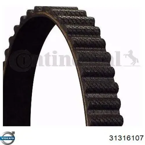 Rolo de reguladora de tensão da correia do mecanismo de distribuição de gás 31493093 Volvo