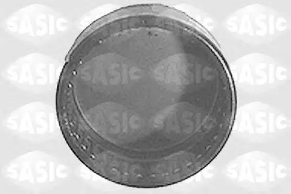 1315485 Sasic