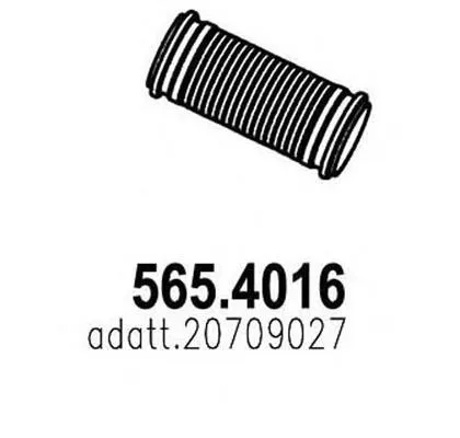 5654016 Asso
