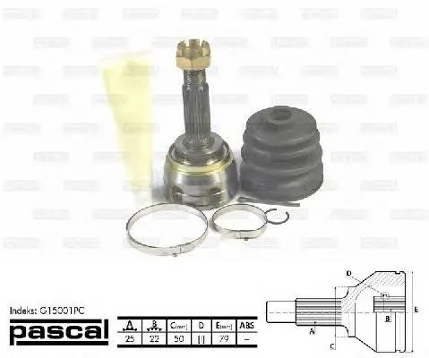 G15001PC Pascal