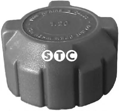 Tampa (tampão) do tanque de expansão Fiat Ducato 2 230L