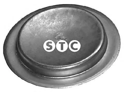 Tampão CBC/do bloco de cilindros Fiat 500 312