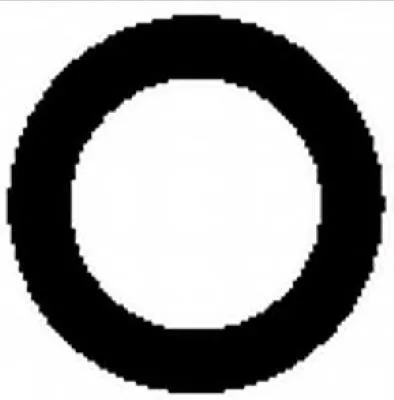 Vedante de tubo coletor de admissão RWS2485 Rotweiss