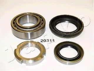 420311 Japko