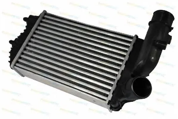 Radiador de intercooler Citroen Jumper 244