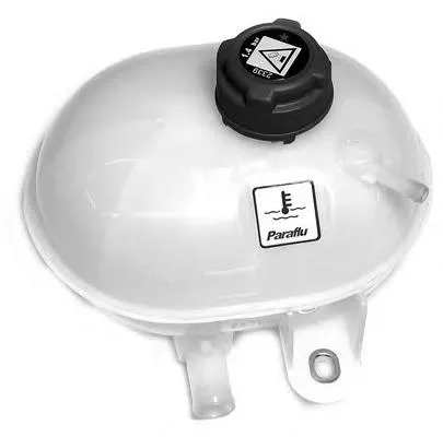 Tanque de expansão do sistema de esfriamento Fiat 500 312