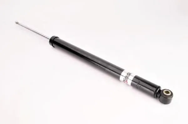 Amortecedor traseiro RS313669 Raiso