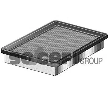 Filtro de ar CA10118 Fram