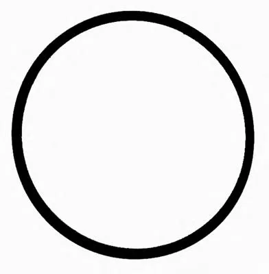 Vedante de tubo coletor de admissão para Volvo V40  525, 526