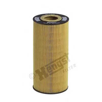 E172HD35 Hengst