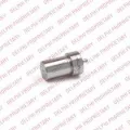 Pulverizador de diesel do injetor Renault 19 L53