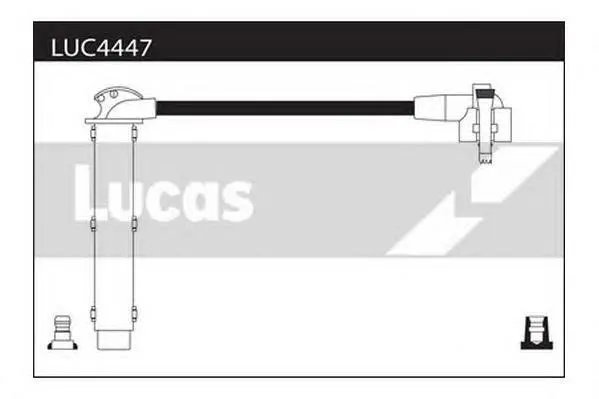 LUC4447 Lucas