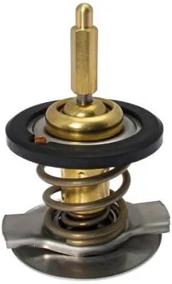 Termostato Mercedes ML/GLE W163