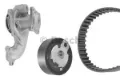 Correia do mecanismo de distribuição de gás, kit Ford Transit V184/5