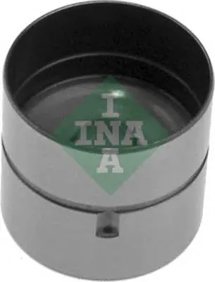 420000110 INA