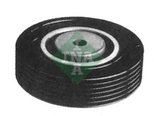 Rolo parasita da correia de transmissão 532021010 INA