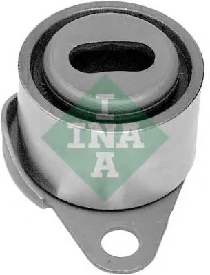 531006110 INA