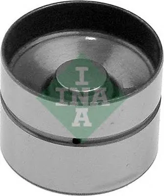 420002210 INA