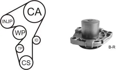 Correia do mecanismo de distribuição de gás, kit Fiat Ducato 3 250