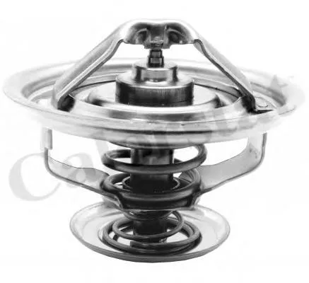 Termostato 5010295225 Renault (RVI)