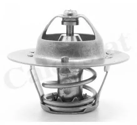 Termostato Nissan Trade