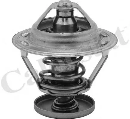 Termostato Nissan Sunny 3 Y10