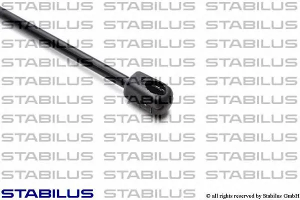 Amortecedor de tampa de porta-malas (de 3ª/5ª porta traseira) Ford Focus 2 DA, HCP, DP