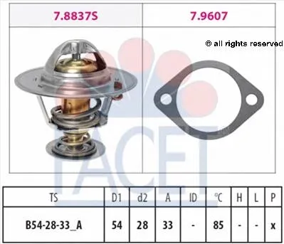 78838 Facet