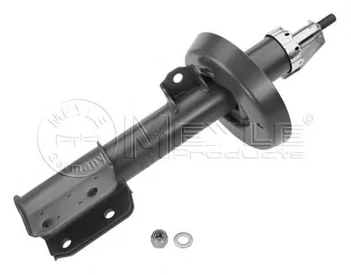 Amortecedor dianteiro direito RS280360 Raiso